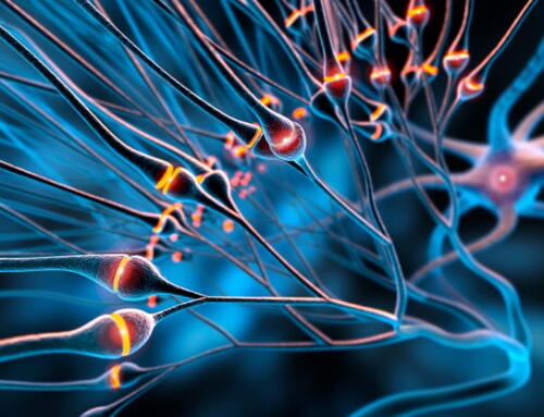 Functional Neurotransmitter Testing | The Relationship Between Your Brain, Hormones, Mood & Overall Health