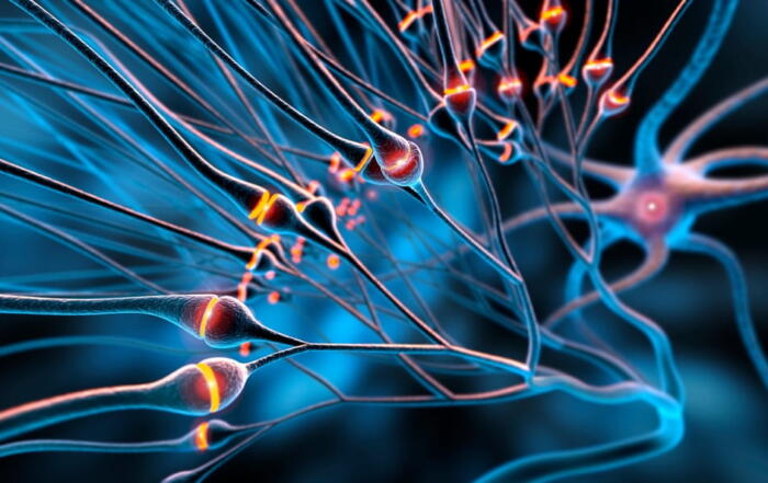 Functional Neurotransmitter Testing in Calgary